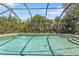 Inviting screened pool with lush tropical landscaping at 791 Haleybury St, Port Charlotte, FL 33948
