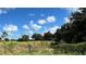 View of open land with trees and a partly cloudy sky at 31840 Washington Loop Rd, Punta Gorda, FL 33982