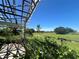 Overgrown backyard with a view of open pasture and trees at 31840 Washington Loop Rd, Punta Gorda, FL 33982