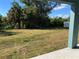 Spacious backyard with tropical trees and green grass at 10133 Audrey St, Port Charlotte, FL 33981