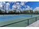 Well maintained tennis and pickleball courts at 1289 Ballota Ln, North Port, FL 34289