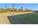 Large grassy backyard with small trees and a partially visible screened patio at 1530 Laurel Brook Ln, Port Charlotte, FL 33953
