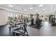 Fitness center with various equipment, including treadmills and weight machines at 16402 Bridle Ridge St, Port Charlotte, FL 33953