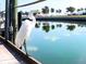 Great egret standing on a dock overlooking calm water at 4410 Warren Ave # 101, Port Charlotte, FL 33953