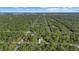 Aerial view of a house in a wooded area at 14220 Dunlap Ave, Port Charlotte, FL 33953