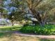 Landscaped grounds with a large oak tree at 19310 Water Oak Dr # 203, Port Charlotte, FL 33948