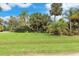 Large grassy yard with tropical landscaping at 4290 Randypaar St, Port Charlotte, FL 33948