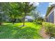 Large backyard with lush green grass and mature trees at 120 Cordana Ct, Venice, FL 34292