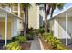 Palm trees and lush landscaping frame a walkway at 433 Cerromar Ln # 441, Venice, FL 34293