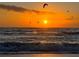 Sunset over the ocean with birds in flight at 484 Boundary Blvd, Rotonda West, FL 33947