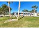 Landscaped yard with palm trees and a charming house exterior at 824 E 6Th St, Englewood, FL 34223