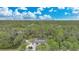 Aerial view of house, pool, and surrounding lush vegetation at 18340 Laramie Ave, Port Charlotte, FL 33954