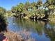 Peaceful canal view with lush tropical landscaping at 1196 Hinton St, Port Charlotte, FL 33952