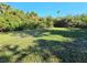 Spacious backyard with grassy area and trees at 6222 Berkeley St, Englewood, FL 34224