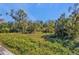 Natural and tranquil backyard landscape at 1811 Music Ln, North Port, FL 34286