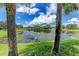 Serene lake view with lush greenery and palm trees at 5463 Shagbark Ct, North Port, FL 34287