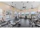 Fitness center with cardio and weight training equipment at 2051 Royal Tern Cir, Punta Gorda, FL 33983