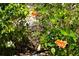 Closeup of the mixed flowers in front of the house at 25115 Esmeralda Ct, Punta Gorda, FL 33955