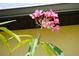Closeup of the flowers in front of the house at 25115 Esmeralda Ct, Punta Gorda, FL 33955