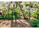 Lush backyard with tropical trees and plants at 17221 Elder Ave, Port Charlotte, FL 33954