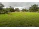 Expansive backyard with well-maintained grass and young trees, offering a serene and spacious outdoor retreat at 507 San Ambrosio St, Punta Gorda, FL 33983