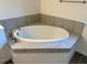 Large oval bathtub is surrounded by tile at 12051 Crossgate Ave, Port Charlotte, FL 33981