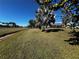 Expansive backyard featuring a mature palm and screened enclosure, perfect for outdoor enjoyment and privacy at 1438 Razorbill Ln, Punta Gorda, FL 33983