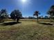 Enjoy the spacious backyard with lush green grass and mature trees, perfect for outdoor activities at 1438 Razorbill Ln, Punta Gorda, FL 33983