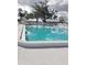 Inviting community pool with clear water and surrounding greenery, perfect for relaxation and recreation at 806 Hickory Ln, Bradenton, FL 34208