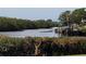 Scenic view of the waterway with a covered dock, showcasing natural beauty and peaceful waterfront living at 806 Hickory Ln, Bradenton, FL 34208