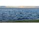 View of a lake with rippling water and grassy shore at 2877 Howe Rd, Port Charlotte, FL 33981