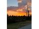 Scenic sunset view over trees and vegetation from the property at 2877 Howe Rd, Port Charlotte, FL 33981