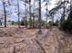 View of cleared lot with a house in the background at 27240 Tribune Blvd, Punta Gorda, FL 33955