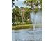 Serene pond with fountain, ducks, and American flag; peaceful community atmosphere at 4178 Central Sarasota Pkwy # 326, Sarasota, FL 34238