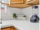 Kitchen counter with small plants and a blender at 330 45Th S St, St Petersburg, FL 33711