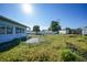 Backyard with trampoline and large grassy area at 3355 Elkcam Blvd, Port Charlotte, FL 33952