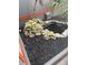 Small pond with rock features in a side yard at 5188 Balmor Ter, North Port, FL 34288