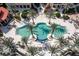 Resort-style pool with surrounding palm trees and lounge chairs at 87 Vivante Blvd # 8736, Punta Gorda, FL 33950