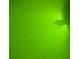 A murky green underwater scene with blurry marine life and reflections at 18305 Wolbrette Cir, Port Charlotte, FL 33948