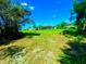 Expansive backyard with lush green lawn, mature trees, and a screened-in pool creates an outdoor oasis at 500 Woodstork Ln, Punta Gorda, FL 33982