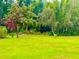 View of backyard with a pink blooming tree and a sandhill crane at 500 Woodstork Ln, Punta Gorda, FL 33982
