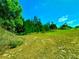 A ready-to-build parcel boasting lush greenery, a serene ambiance, and endless possibilities at 500 Woodstork Ln, Punta Gorda, FL 33982