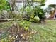 Yard features a grapefruit tree growing, outside of the home at 6642 Acacia Ct, North Port, FL 34287