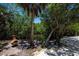 Landscaped backyard featuring shell, brick, and crushed asphalt providing space for relaxation and entertaining at 24362 Yacht Club Blvd, Punta Gorda, FL 33955