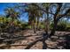 Backyard featuring trees and a hammock, perfect for relaxing at 24362 Yacht Club Blvd, Punta Gorda, FL 33955