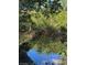 Scenic view of a waterway surrounded by dense trees and lush greenery at 24362 Yacht Club Blvd, Punta Gorda, FL 33955