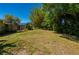 Expansive backyard showcasing ample green space surrounded by mature trees and landscaping at 28482 Coco Palm Dr, Punta Gorda, FL 33982