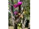Close up of magenta and yellow orchid growing on the tree trunk at 28482 Coco Palm Dr, Punta Gorda, FL 33982