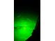 An abstract image showing green light underwater, creating an eerie and intriguing visual at 529 Belvedere Ct, Punta Gorda, FL 33950