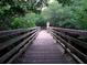 A wood boardwalk in a mangrove forest. A person is standing on the boardwalk taking pictures at 1339 Casey Key Dr, Punta Gorda, FL 33950
